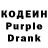 Кодеин Purple Drank Erbolot Kulubaev