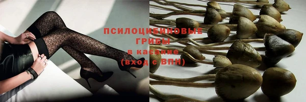 COCAINE Богданович