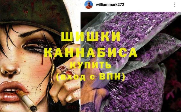 спайс Богородицк